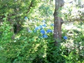 100_3160.JPG