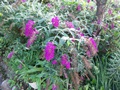 100_3205.JPG