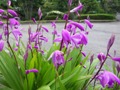 3102_3075.JPG