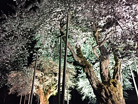 IMG_4054.JPG