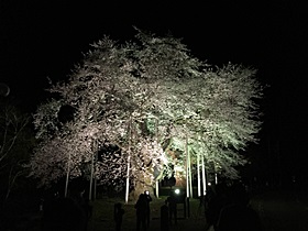 IMG_4057.JPG