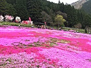 IMG_4063.JPG