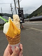 IMG_4070.JPG