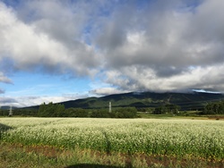 IMG_5181.JPG
