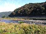 R0017028.JPG