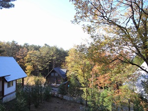 R0019377.JPG