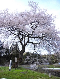 R0019842-2.JPG